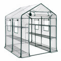Serre de jardin transparente et vert foncé 143 × 143 × 195 cm avec étagères, porte et fenêtres enroulables