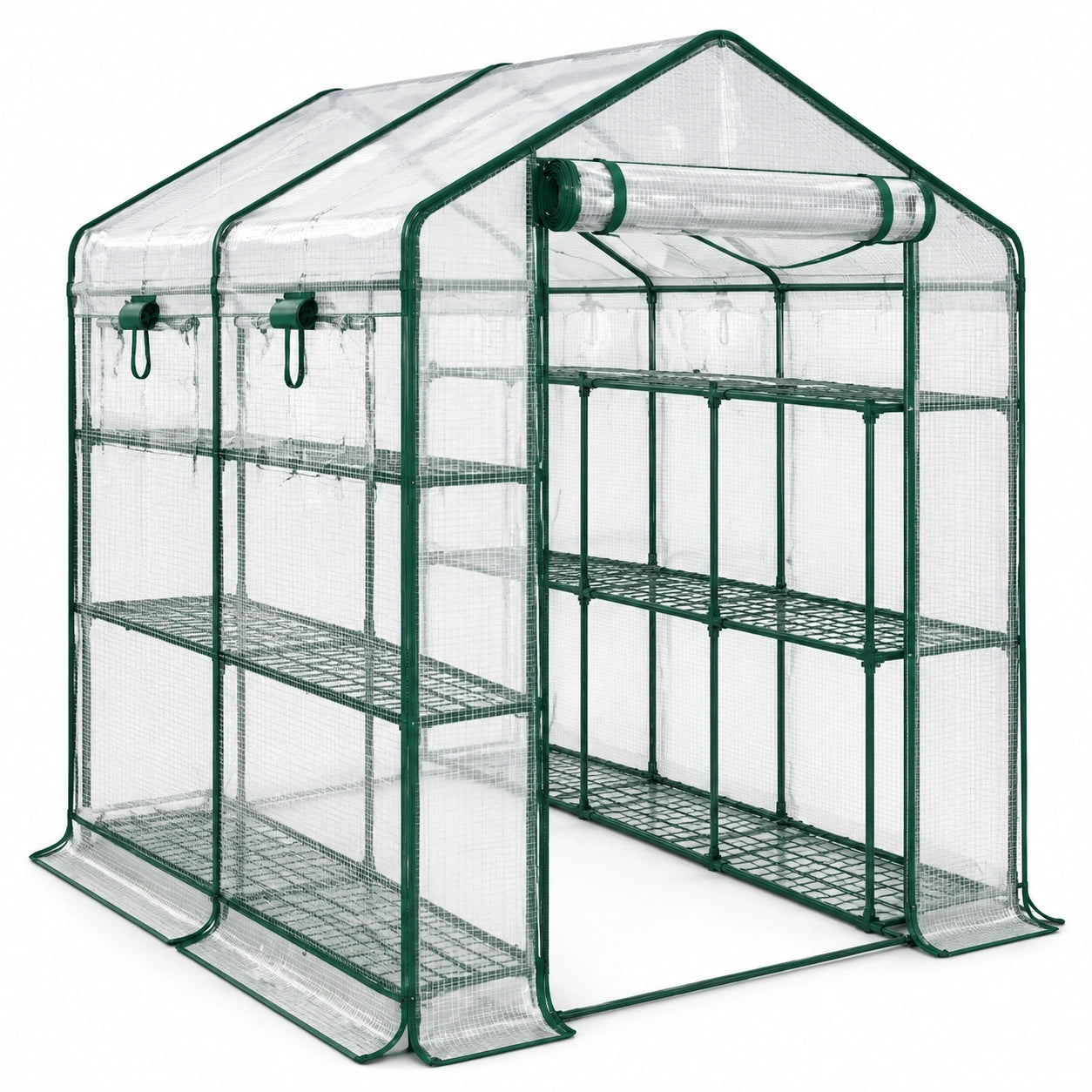 Serre de jardin avec étagères, 143 × 143 × 195 cm, transparente et verte