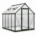 Serre de jardin en aluminium vert foncé et polycarbonate translucide, 250 × 190 × 195 cm, avec porte et 2 lucarnes